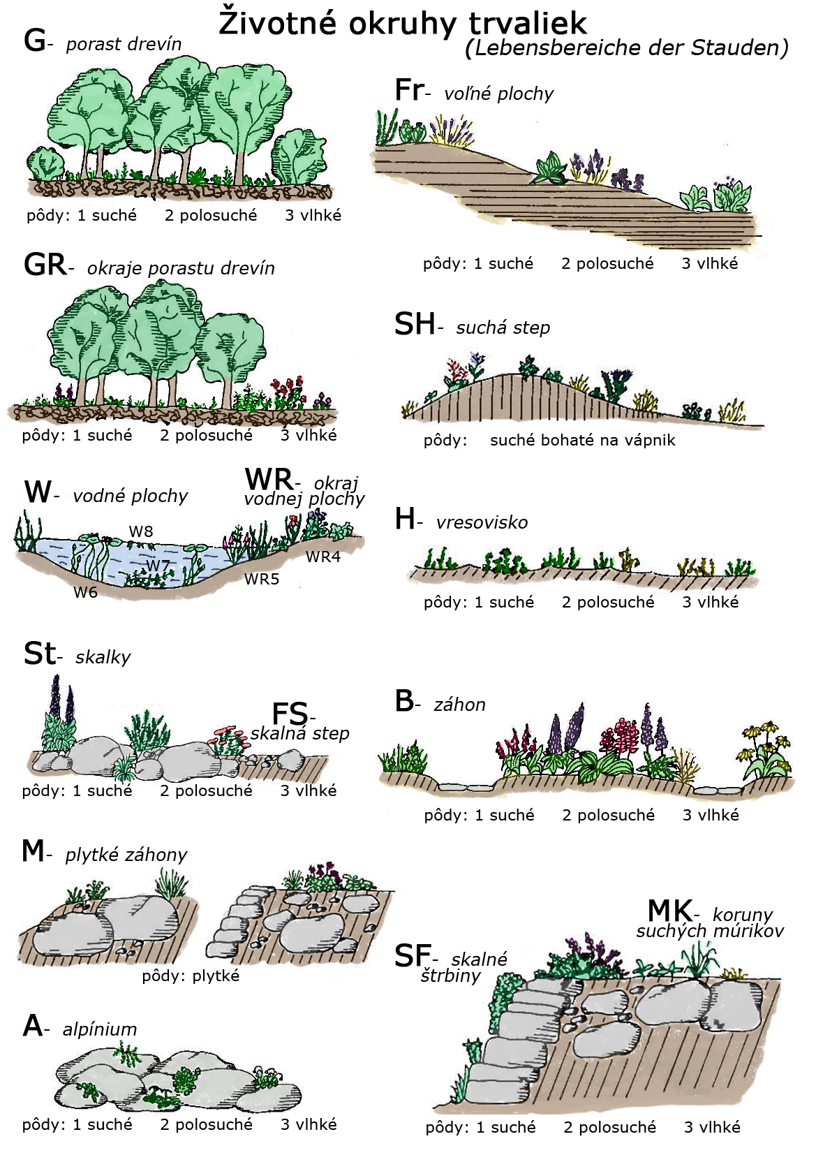 životné okruhy trvaliek