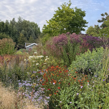 Ako urobiť krásny záhon, ktorý bude žiariť po celý rok?