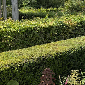 Moderné živé ploty