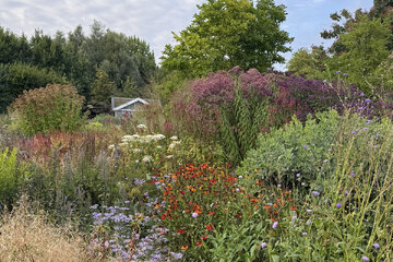 Ako urobiť krásny záhon, ktorý bude žiariť po celý rok?