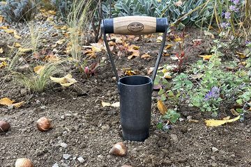 Jesenná výsadba cibuľovín