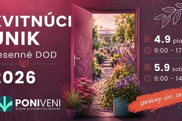 Správny čas sadiť: Jesenný Kvitnúci únik v Poni Veni