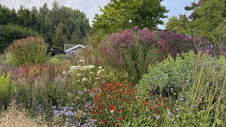 Ako urobiť krásny záhon, ktorý bude žiariť po celý rok?