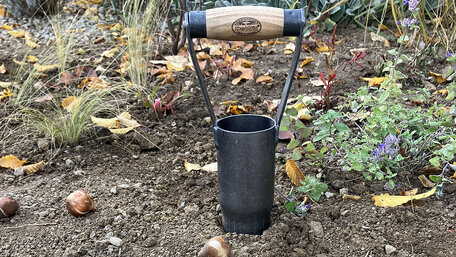 Jesenná výsadba cibuľovín