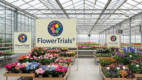 Z Holandska do tvojej záhrady: čo sme objavili na FlowerTrials 2026?