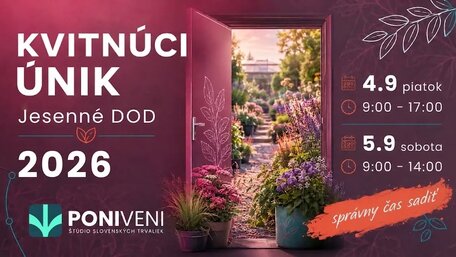 Správny čas sadiť: Jesenný Kvitnúci únik v Poni Veni