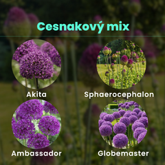 Cesnakový mix - Cesnakovy mix