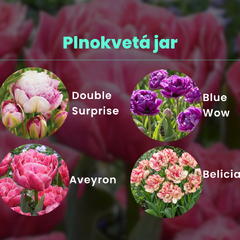 Plnokovetá jar - Plnokvetá jar