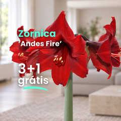 Zornica 'andes fire' 3+1 grátis - Andes Fire