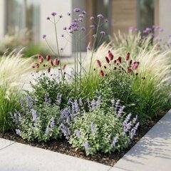 Bezstarostné leto - bestarostné leto