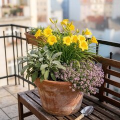 Slnečný balkón - slnečný balkón