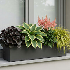 Farebný tieň - Farebný tieň 