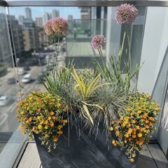 Suchomilný balkón - suchomilny balkon