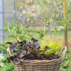 Výbuch farieb v tieni - 1 (1)