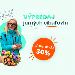 Posledná šanca zasadiť jarné cibuľoviny. 