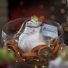 9254905_amaryllis_voskovany_biely_01