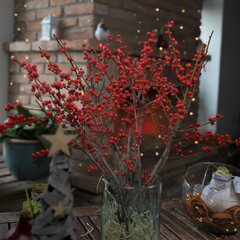 9254904_ilex_vericillata_vetvicka_45cm_01