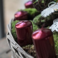 8590582046272_stupnovite_adventne_sviecky_bordovo_01