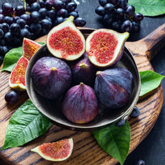 9243501_ficus_brogioto_nero_03