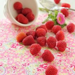 05201586_rubus_bonbonberry_yummy_01