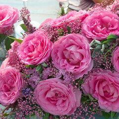 3252590_ruza_beverly_02