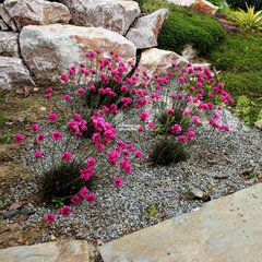 7250530_armeria_vesuv_02