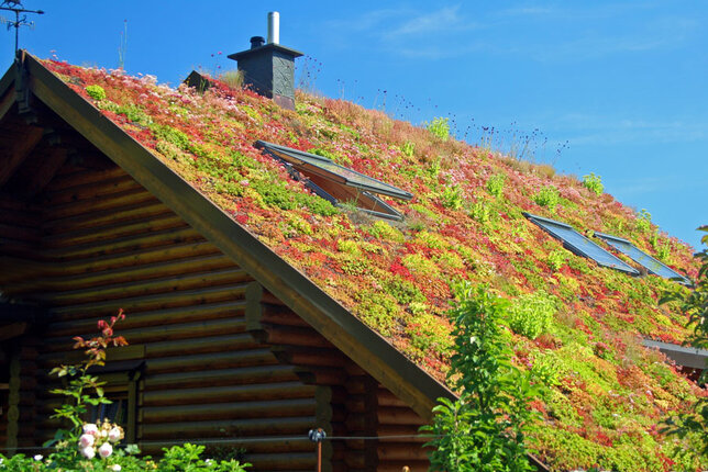 Rozchodníky pre zelené strechy 56ks - 9252000 Rozchodníky pre zelené strechy 56ks 01