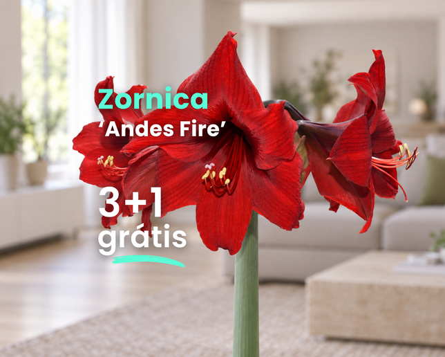 Zornica 'andes fire' 3+1 grátis - Andes Fire