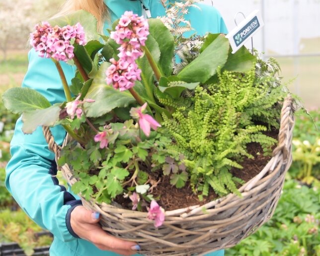 Košík do tieňa, krásny z každej strany - kosik