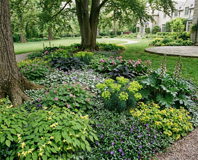 Suchý tieň - suchý tieň