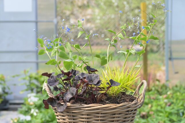 Výbuch farieb v tieni - 1 (1)