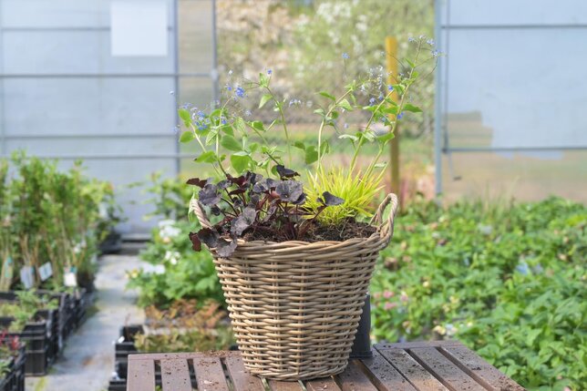 Výbuch farieb v tieni - 2