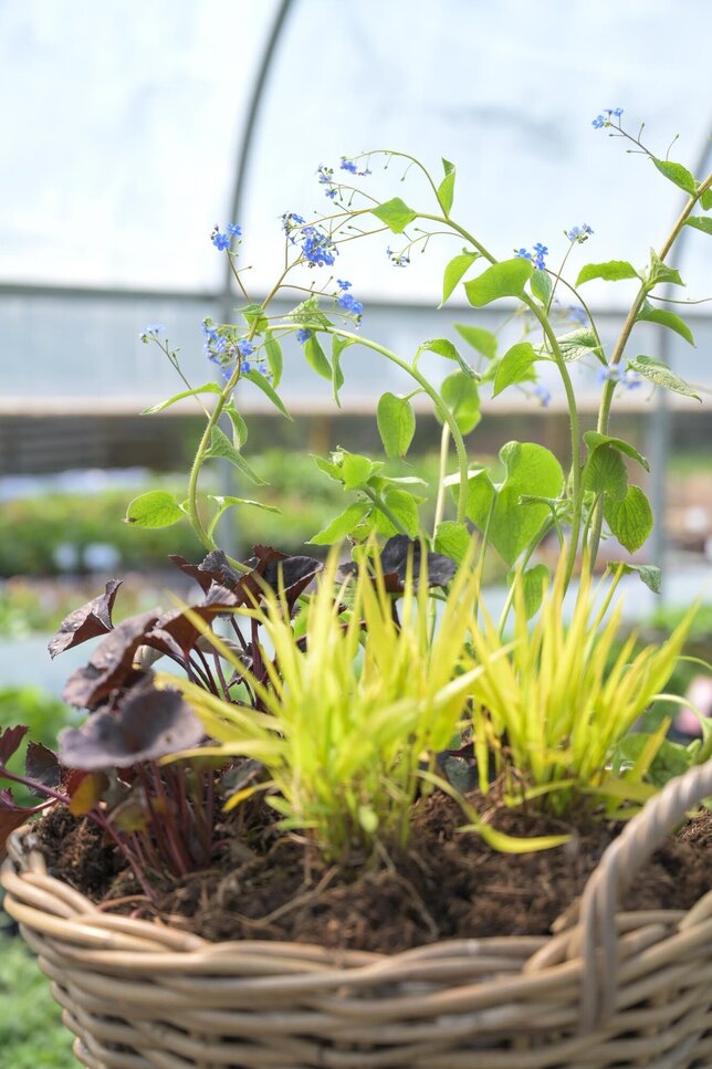 Výbuch farieb v tieni - 3 (1)