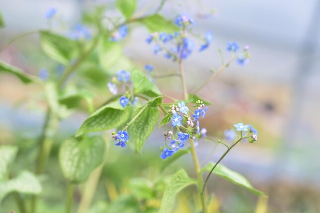 Výbuch farieb v tieni - 5