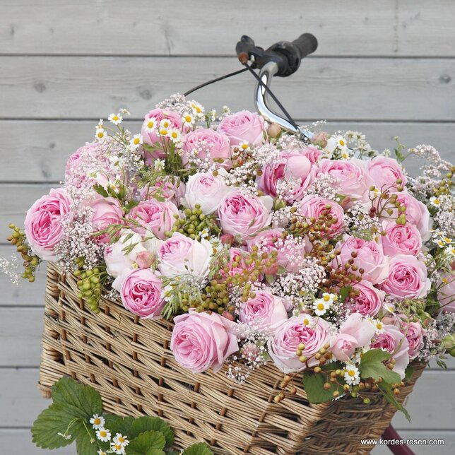 3251825_ruza_wellenspiel_01