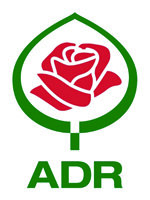 3252593_ruza_coral_lions-rose_02