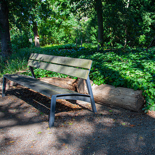 5251418_epimedium_frohnleiten_03