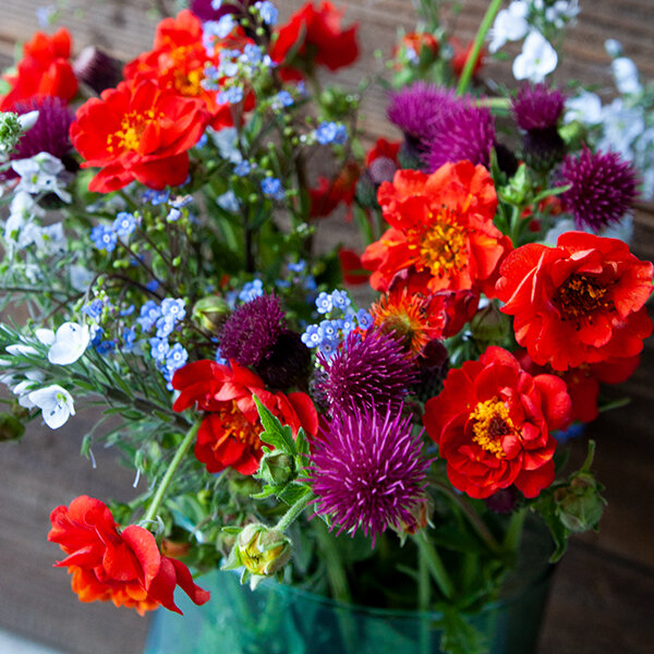 2231357_geum_mrs_bradshaw_03