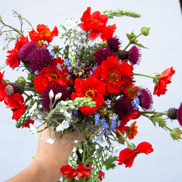 2231357_geum_mrs_bradshaw_04