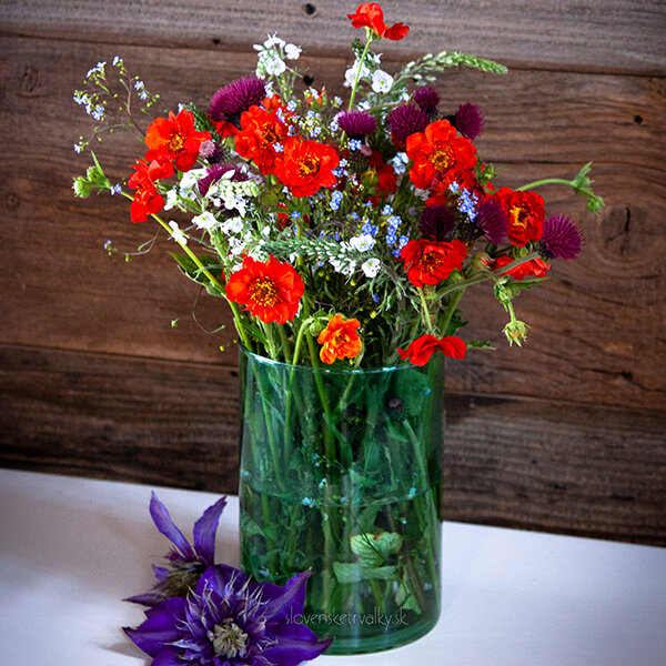 2231357_geum_mrs_bradshaw_05