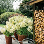 Hydrangea 'living summer snow'® - hortenzia k1l - MyrtheSlootjes_sfeershoot_LivingCreations_06