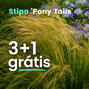 Kavyľ 'pony tails' 3+1 grátis - Stipa ver 2