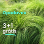Opadavec 3+1 grátis - Sporobolus