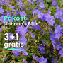 Pakost 'johnon's blue' 3+1 grátis - Johnson Blue