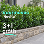 Vavrínovec 'novita' 3+1 grátis - Vavrinovec Novita