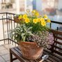 Slnečný balkón - slnečný balkón