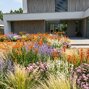 Leto bez konca - sucho_crocosmia