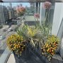 Suchomilný balkón - suchomilny balkon