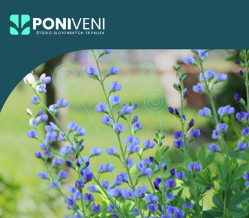 Jarný výpredaj zľavy až do 30%