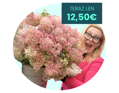 'GROUNDBREAKER' mení zem na kvitnúci koberec